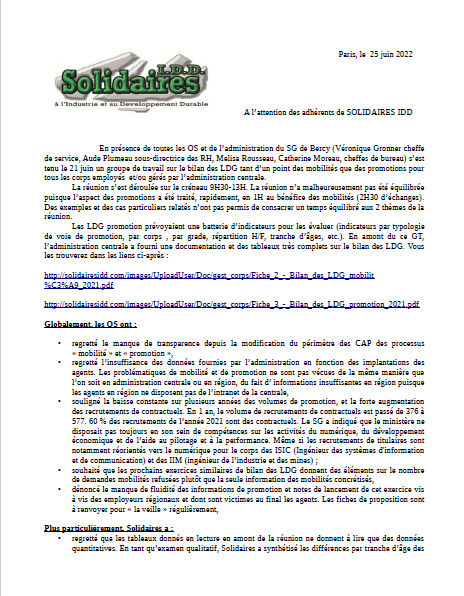 GT bilan LDG promotion mobilite MEFR 2021 Solidaires IDD